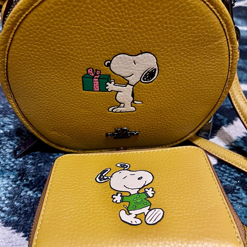 Coach x Peanuts Crossbody & Wallet